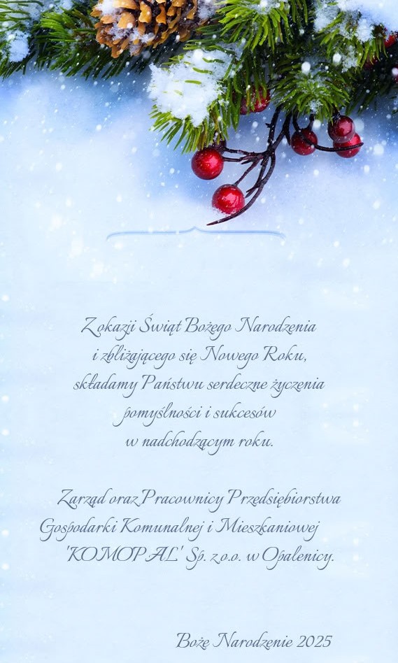 boze_narodzenie_25.jpg [569x948]