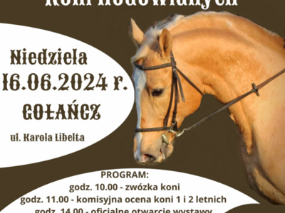 XXVI Regionalna Wystawa Koni Hodowlanych