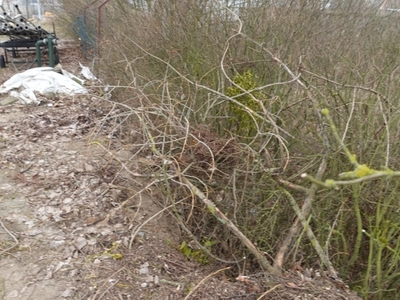 Prace remontowe opłotowanie