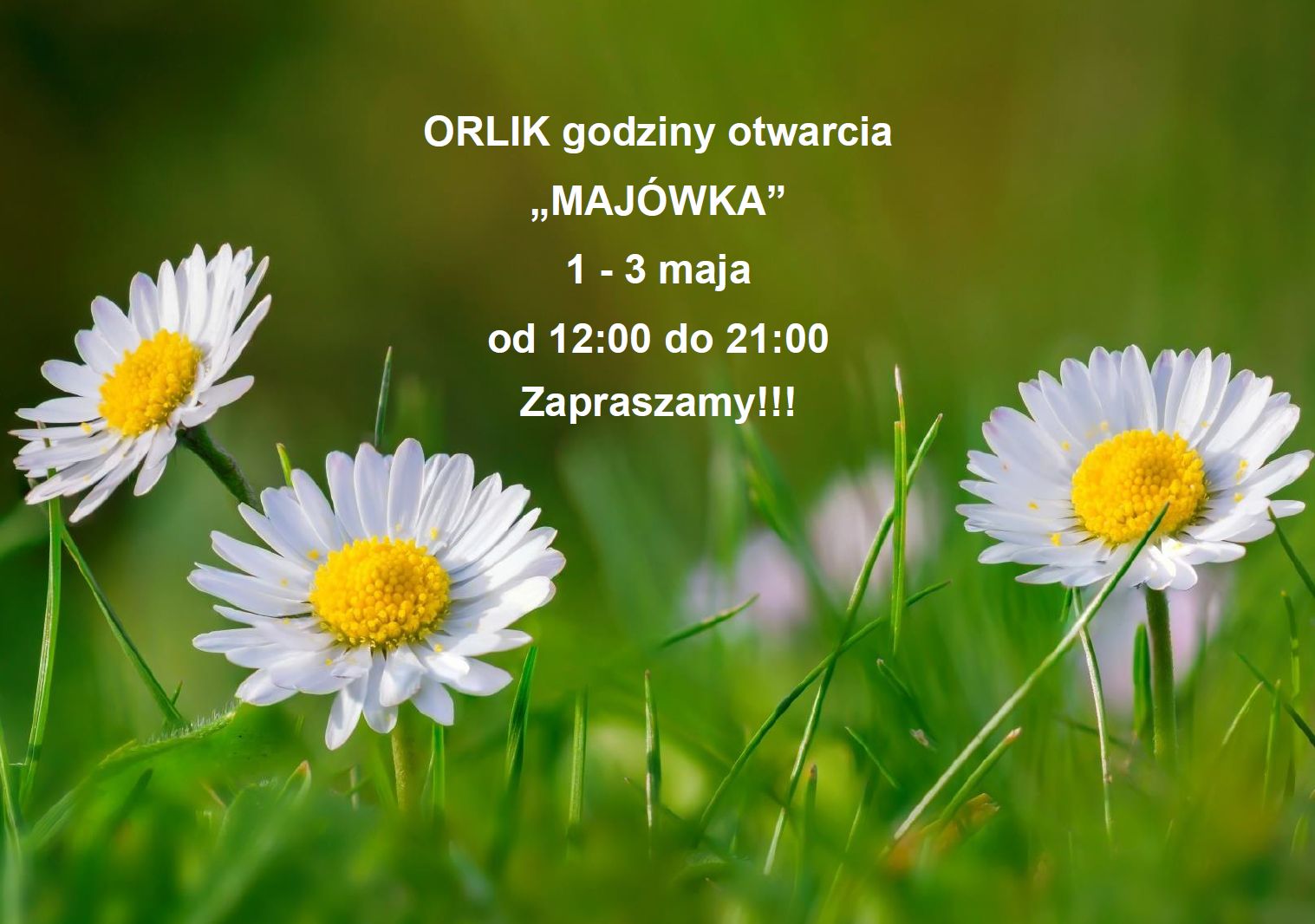 Orlik- majówka