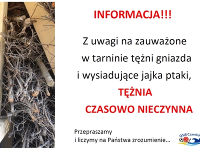 tężnia