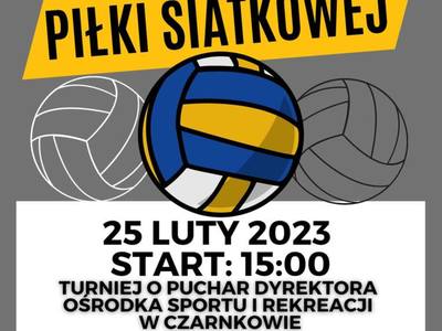 Turniej Piłki Siatkowej