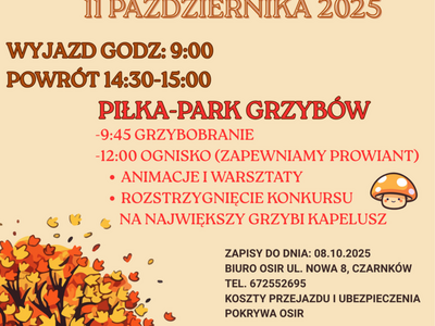 Rodzinne grzybobranie