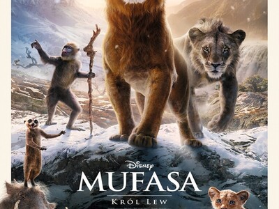 Plakat