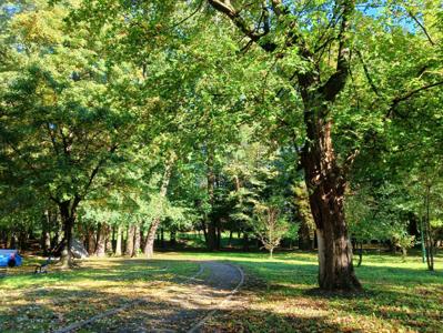Park jesienią