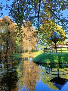 Park i staw jesienią
