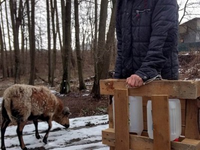Przenoszenie podstawy domku dla kaczek