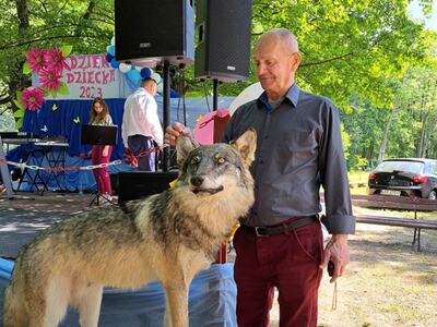 Coś z wilkiem