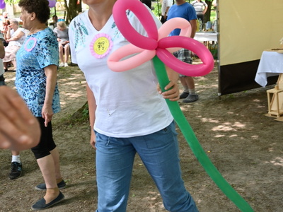 Animacja