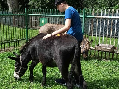 Onoterapia