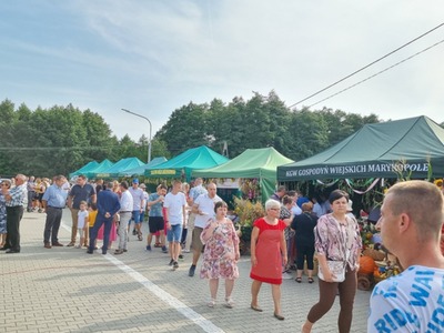 Grupa mieszkańców na dożynkach gminnych.