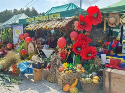 Stoiska na Dożynkach