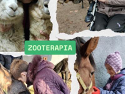 Mieszkańcy DPS w Gościeradowie na zajęciach z zooterapii.