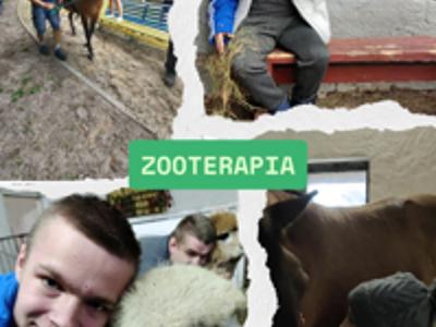 Mieszkańcy DPS w Gościeradowie na zajęciach z zooterapii.