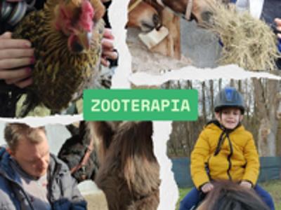 Mieszkańcy DPS w Gościeradowie na zajęciach z zooterapii.