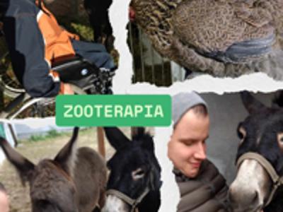 Mieszkańcy DPS w Gościeradowie na zajęciach z zooterapii.