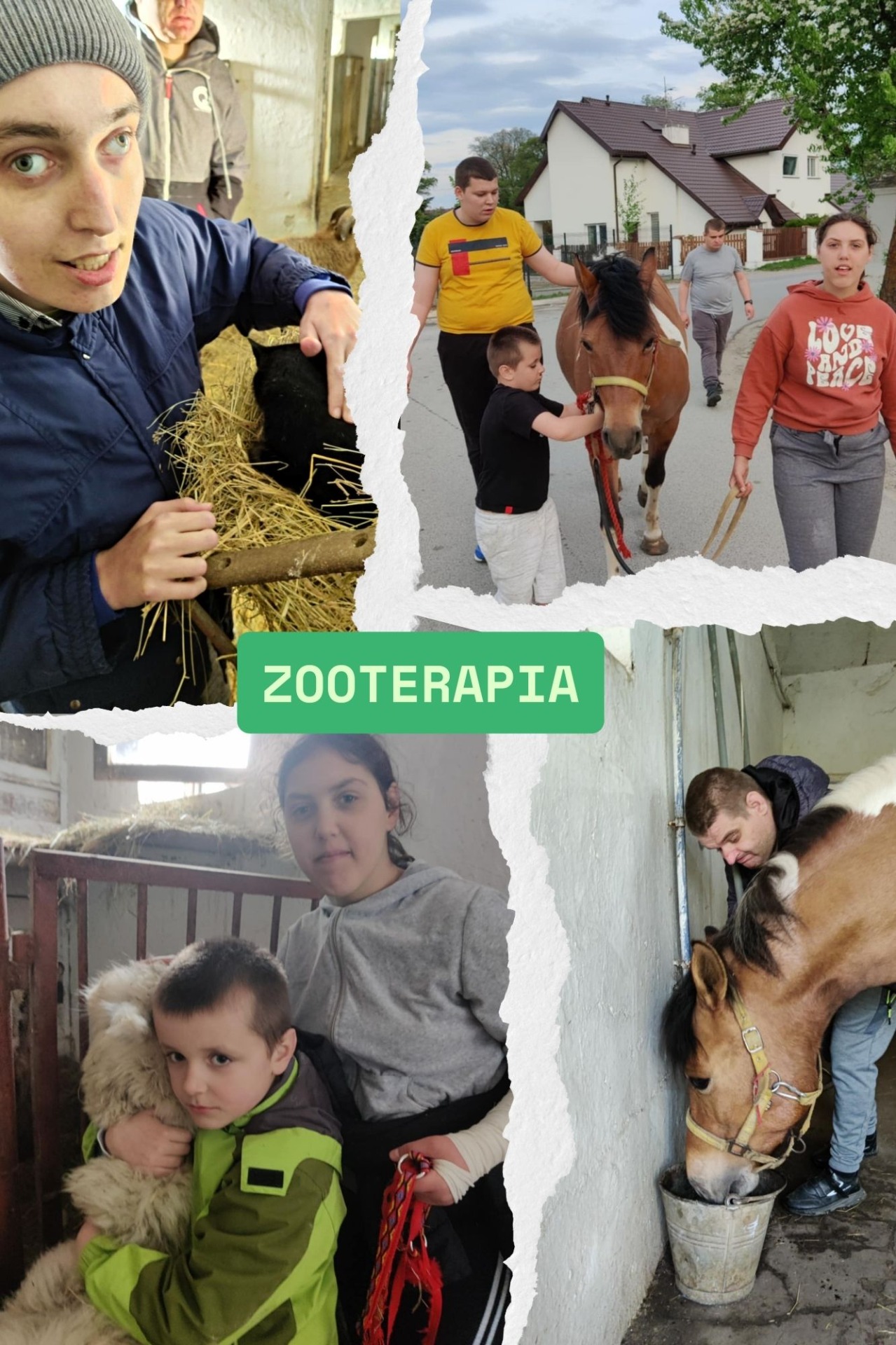 Mieszkańcy DPS w Gościeradowie na zajęciach z zooterapii.