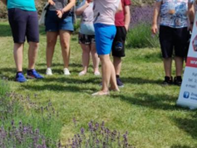 Grupa mieszkańców Domu spaceruje pomiędzy rzędami lewendy