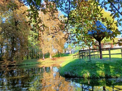 Park DPS jesienią