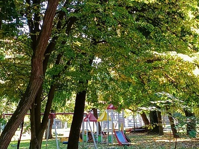 Widok placu zabaw z alejek spacerowych w parku DPS