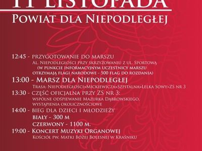 plakat na marsz dla niepodległej