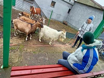 Zooterapia
