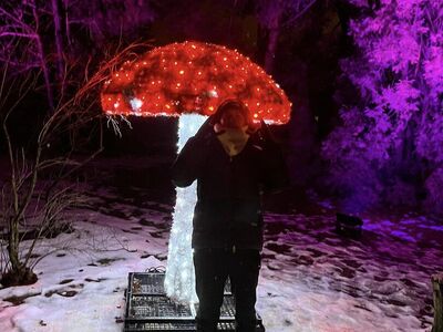 Lumina Park 7