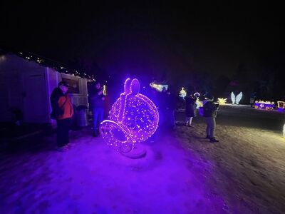 Lumina Park 8