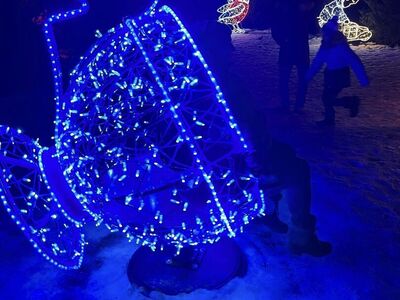 Lumina Park 12