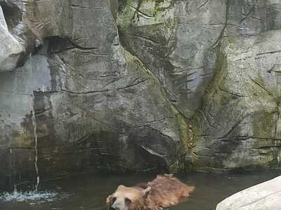 zoo 1