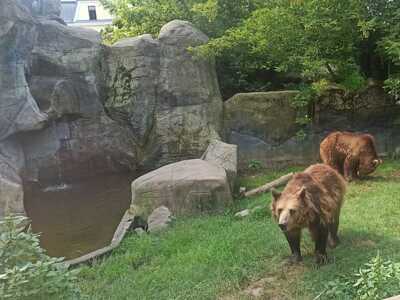 zoo 4