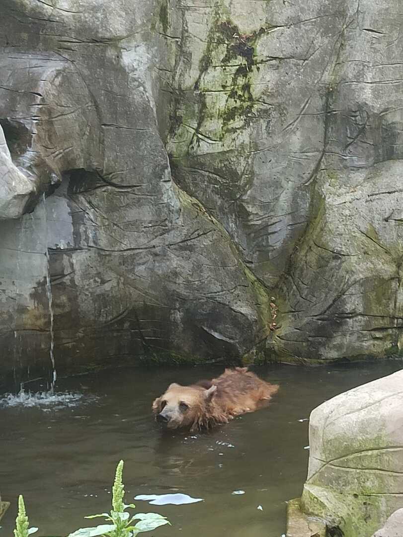 zoo 1