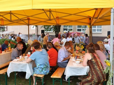Piknik 8