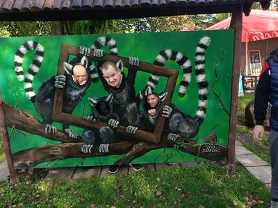 ZOO 3