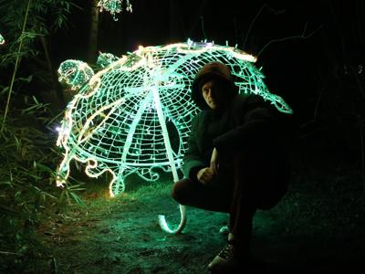 Lumina Park 5