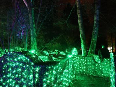 Lumina Park 10