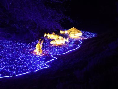 Lumina Park 19