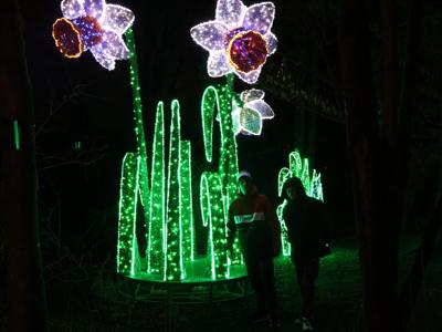 Lumina Park 24