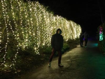 Lumina Park 27