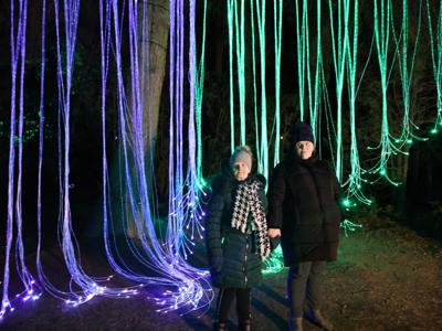 Lumina Park 31