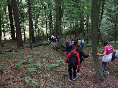 Integracyjny Piknik #BądźFit Olimpiad Specjalnych Lubelskie  Dofinansowano przez #PFRON 