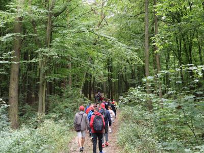 Integracyjny Piknik #BądźFit Olimpiad Specjalnych Lubelskie  Dofinansowano przez #PFRON 