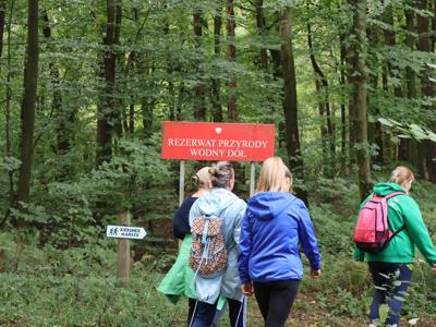 Integracyjny Piknik #BądźFit Olimpiad Specjalnych Lubelskie  Dofinansowano przez #PFRON 