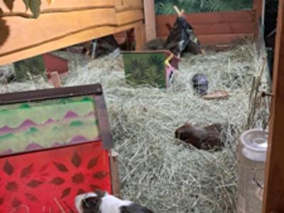 Nasi mieszkańcy podczas wycieczki do Ogrodu Zoologicznego w Borysewie.