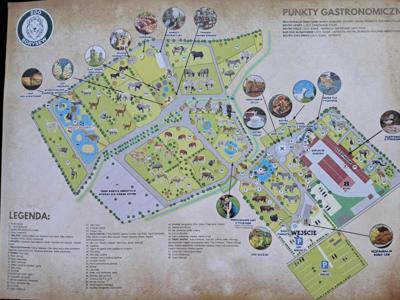 Nasi mieszkańcy podczas wycieczki do Ogrodu Zoologicznego w Borysewie.