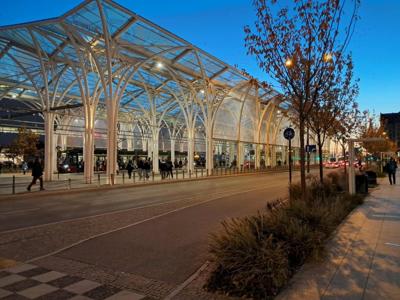 Nasi mieszkańcy podczas wycieczki do Ogrodu Zoologicznego w Borysewie.