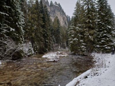 Zdrowie + góry = idealny turnus w Zakopanem