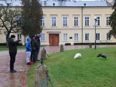 Zawodnicy Olimpiad Specjalnych