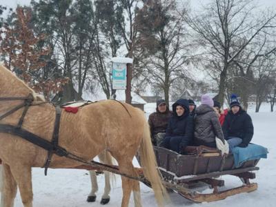 W dniu dzisiejszym odbył się kulig, było super.