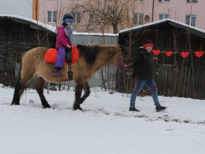 WOŚP 2023
